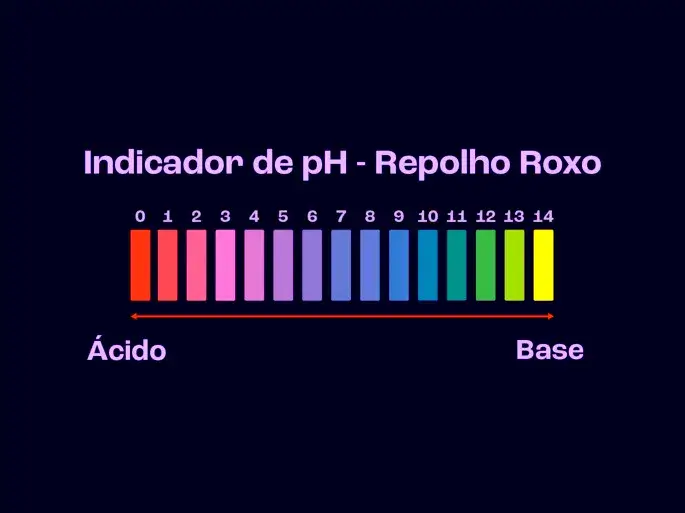 Indicador ácido-base com repolho
